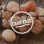 Cage Free Eggs